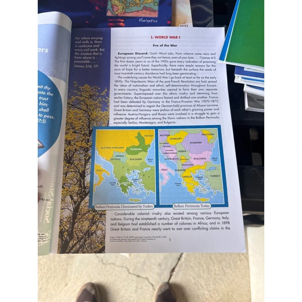ACE Social Studies 1131   homeschooling workbook